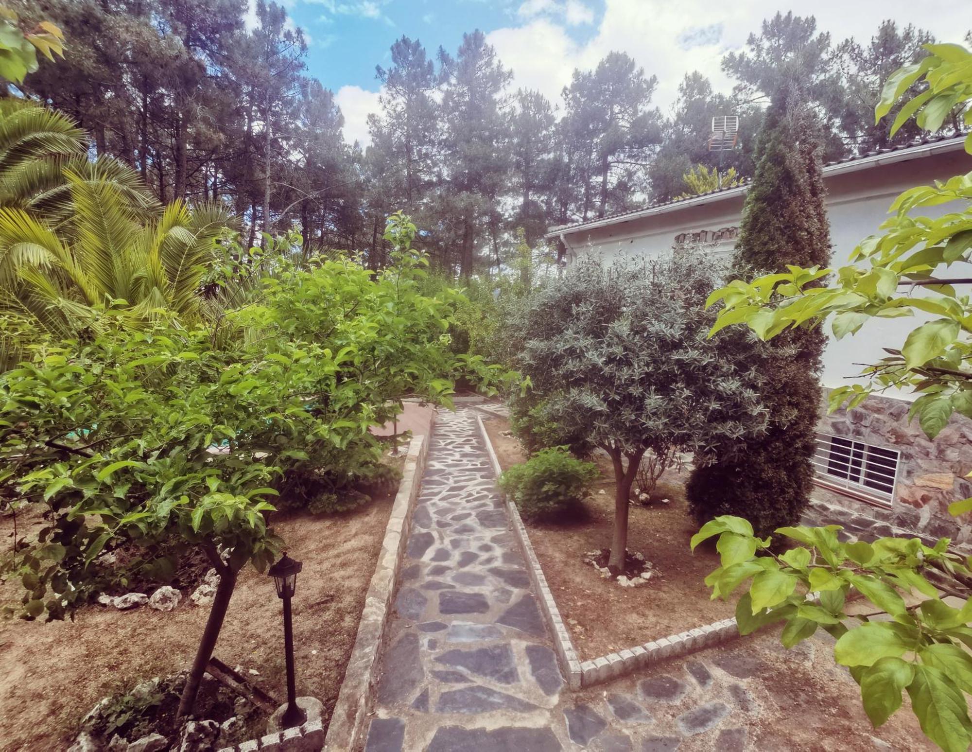 Villa Bonita Casa En El Bosque - El Tiemblo Exterior foto
